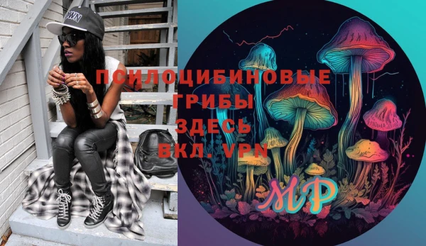 винт Бугульма