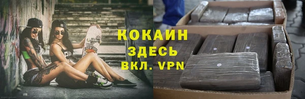 jwh Бородино