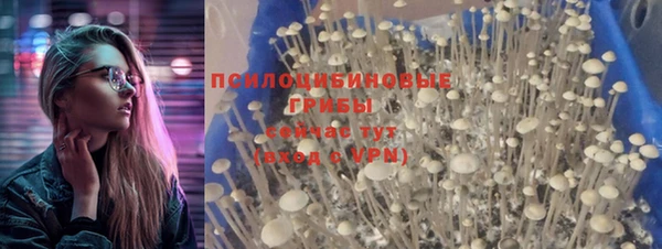 ECSTASY Бронницы